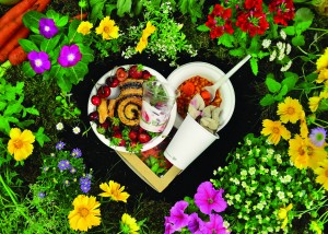 Vegware_concept_compost_floweryheart_1407_800x