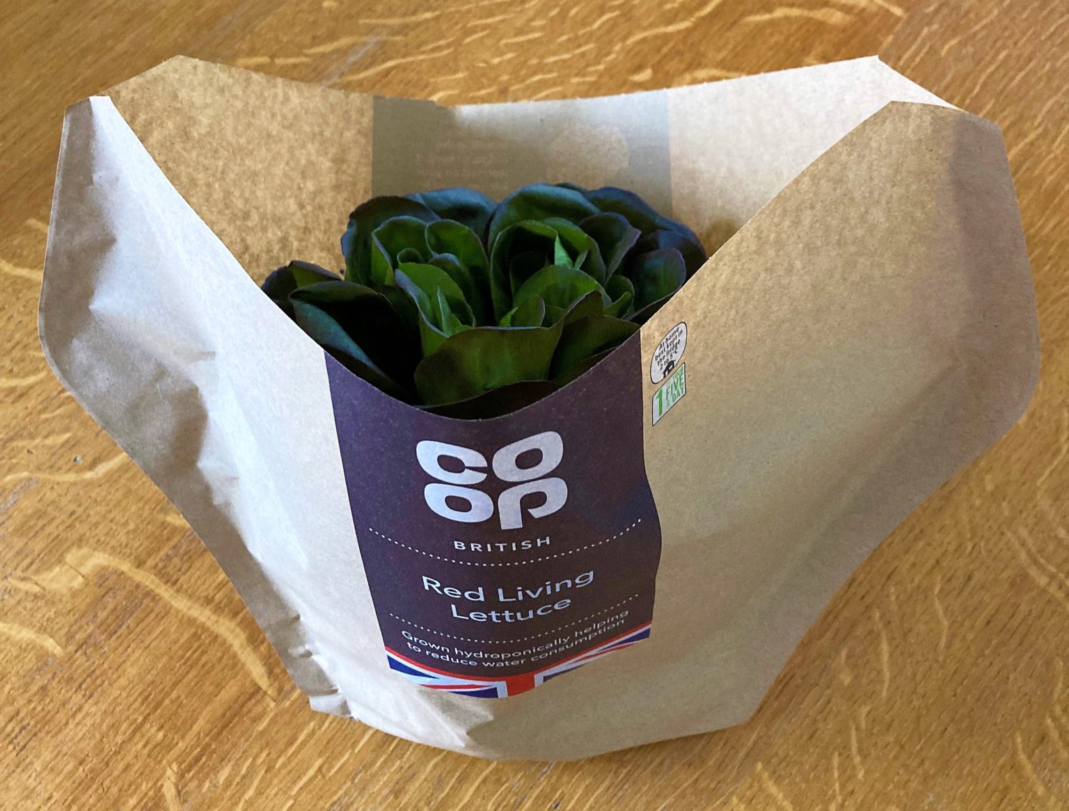 Sustainably packaged 'living lettuce' launched in Coop stores Packaging Scotland
