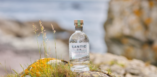Bottle of Lantic Gin resting on coastal rocks.