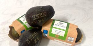 Laser etched Tesco avocados