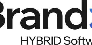 Hybrid Software BrandZ logo