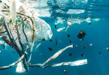 Plastics in the ocean